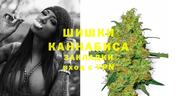 стаф Баксан