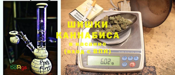 стаф Баксан