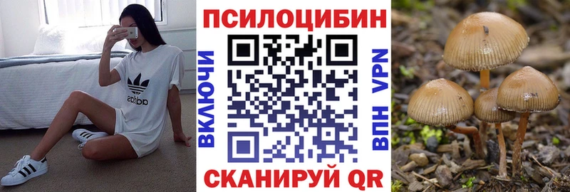 Галлюциногенные грибы Psilocybe  Бирск 